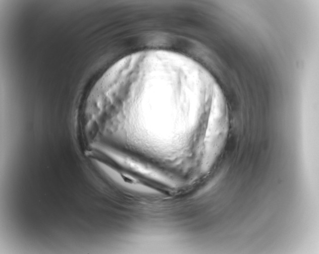 X0000088700725200706211944
