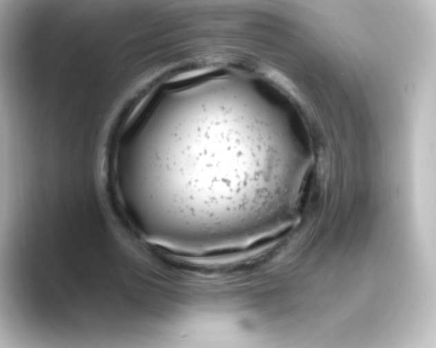 X0000088700726200706211944