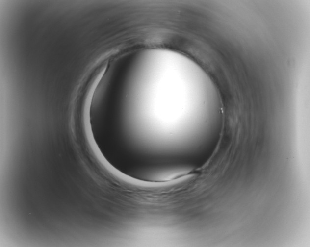 X0000088700728200706211944