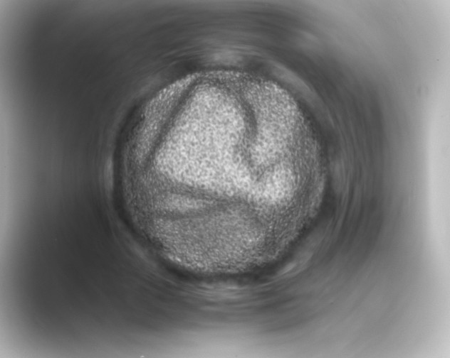 X0000088700729200706211944