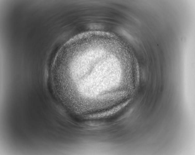 X0000088700733200706211944