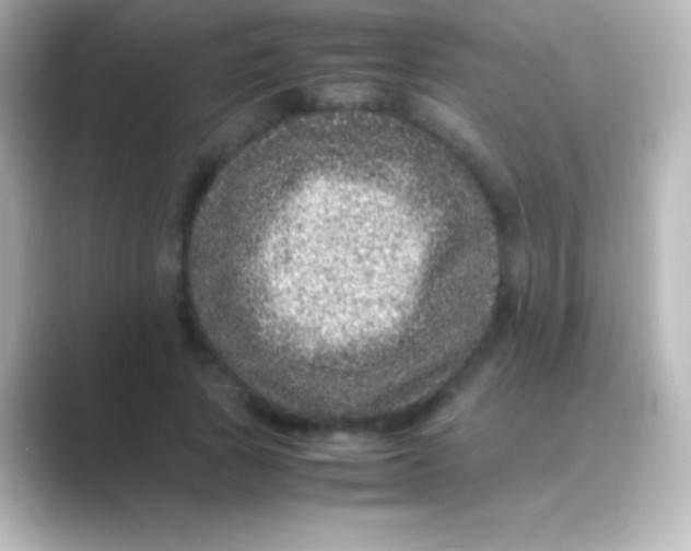 X0000088700737200706211944