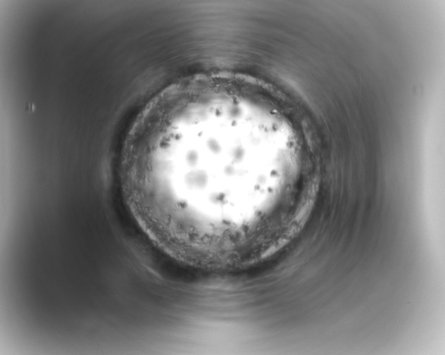 X0000088700738200706211944