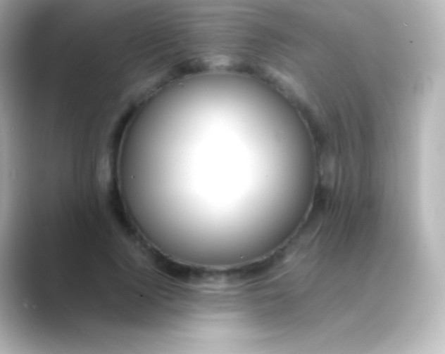 X0000088700740200706211944