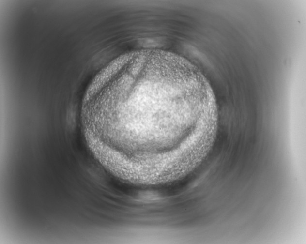 X0000088700741200706211944