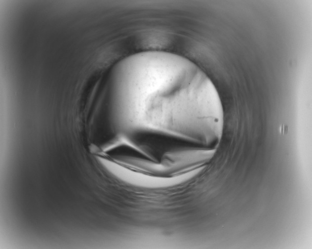 X0000088700743200706211944