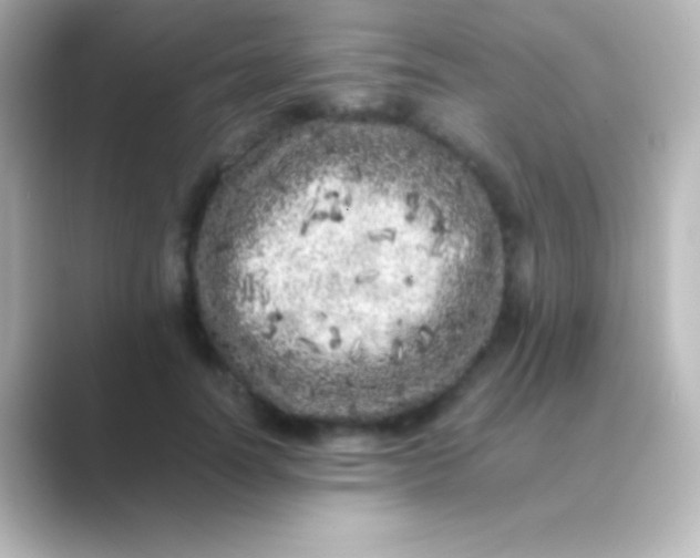 X0000088700746200706211944