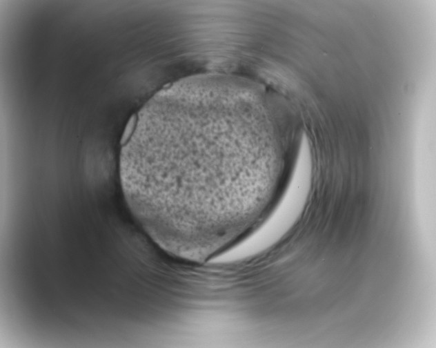 X0000088700748200706211944