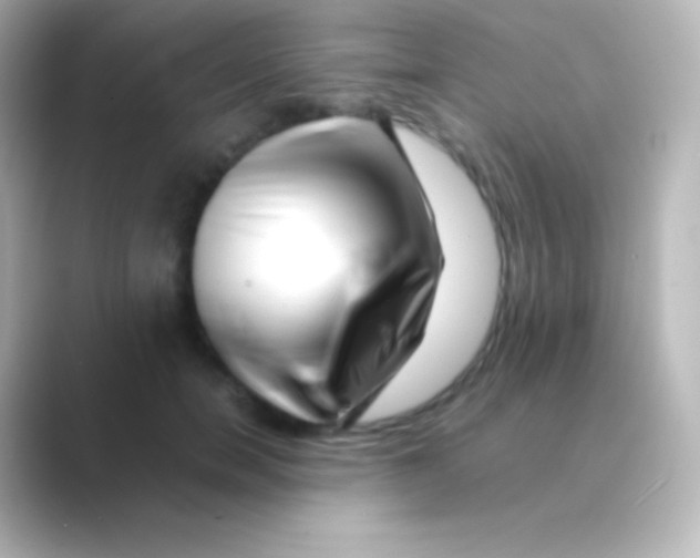X0000088700750200706211944