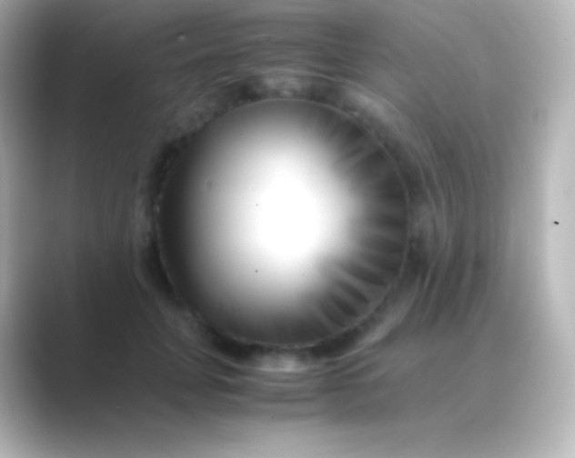 X0000088700751200706211944