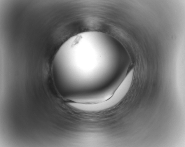 X0000088700752200706211944