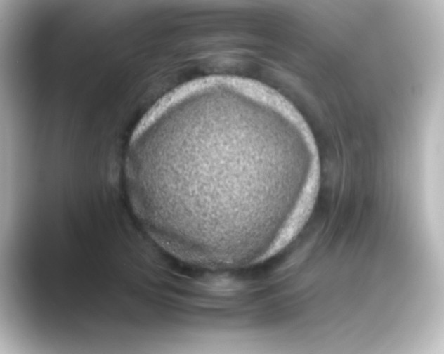 X0000088700753200706211944