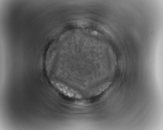 X0000088700757200706211944