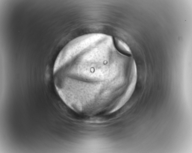 X0000088700758200706211944