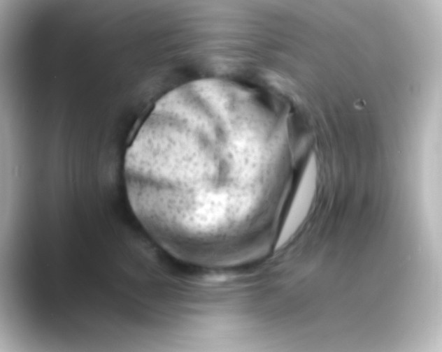 X0000088700760200706211944