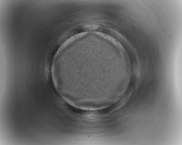 X0000088700761200706211944