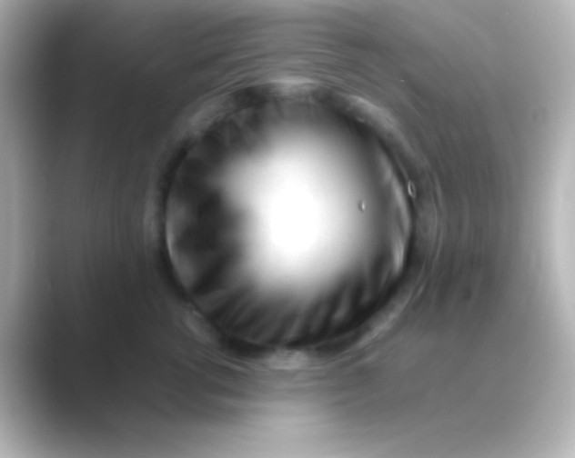 X0000088700762200706211944