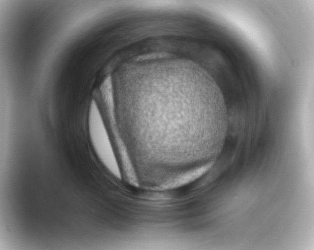 X0000088700765200706211944