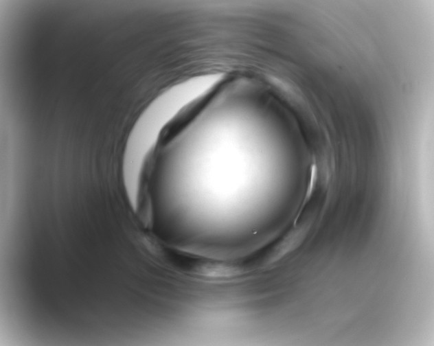 X0000088700766200706211944
