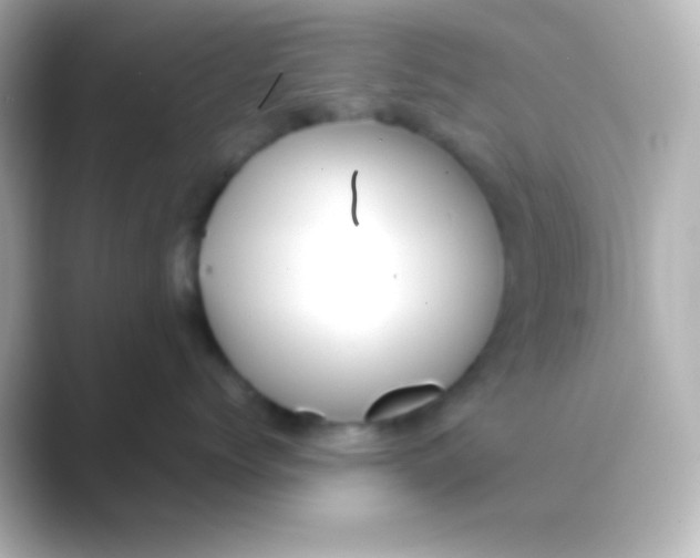 X0000088700768200706211944