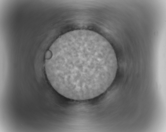 X0000088700769200706211944