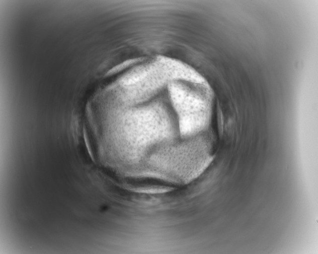X0000088700772200706211944