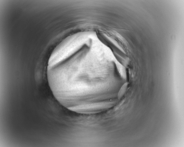 X0000088700775200706211944