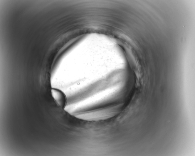 X0000088700776200706211944