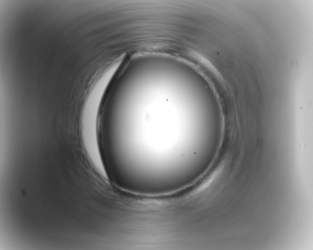 X0000088700777200706211944
