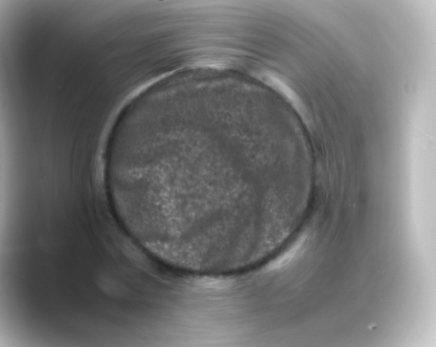 X0000088700779200706211944