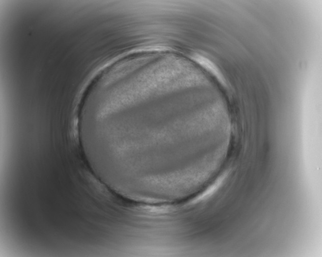 X0000088700781200706211944
