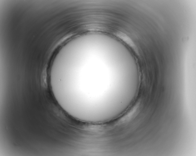 X0000088700782200706211944