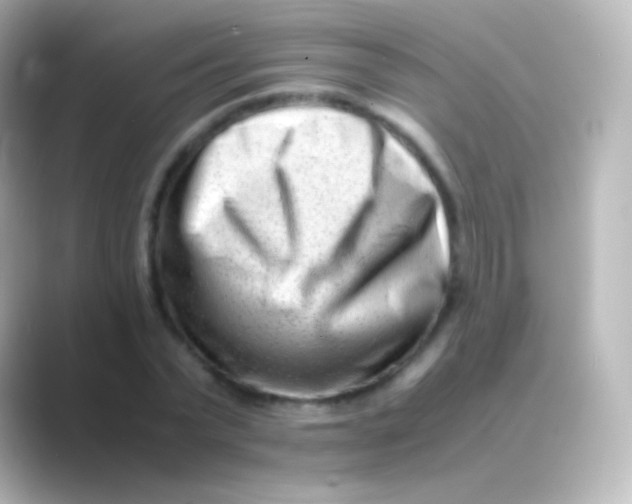X0000088700783200706211944