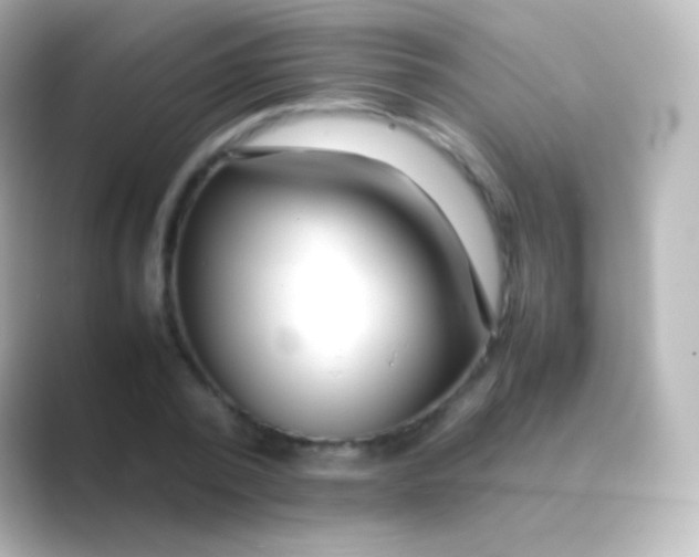 X0000088700784200706211944