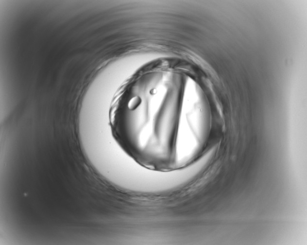 X0000088700785200706211944