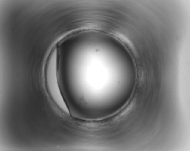 X0000088700792200706211944
