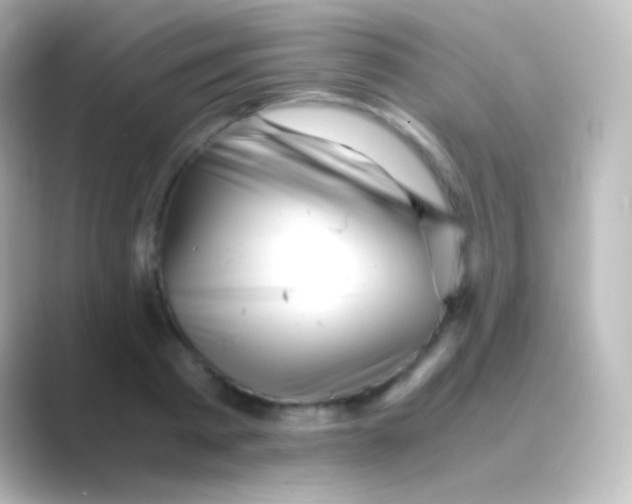 X0000088700793200706211944