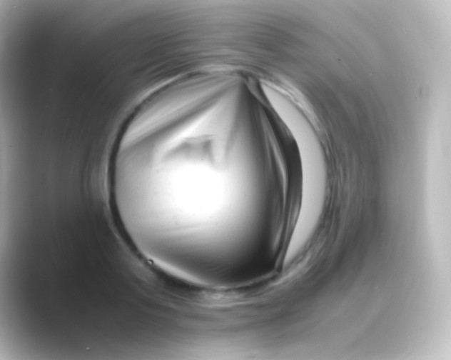 X0000088700795200706211944