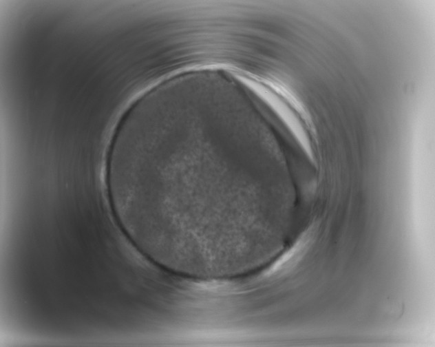 X0000088700797200706211943