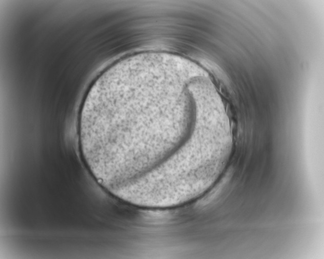 X0000088700800200706211943