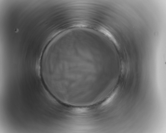 X0000088700802200706211943