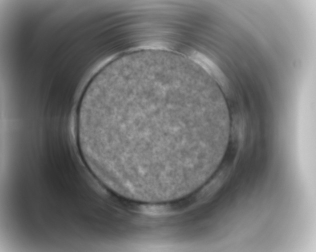 X0000088700804200706211943