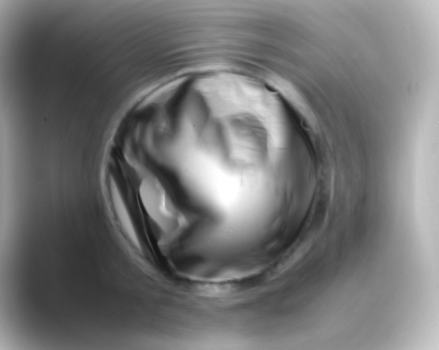 X0000088700805200706211943