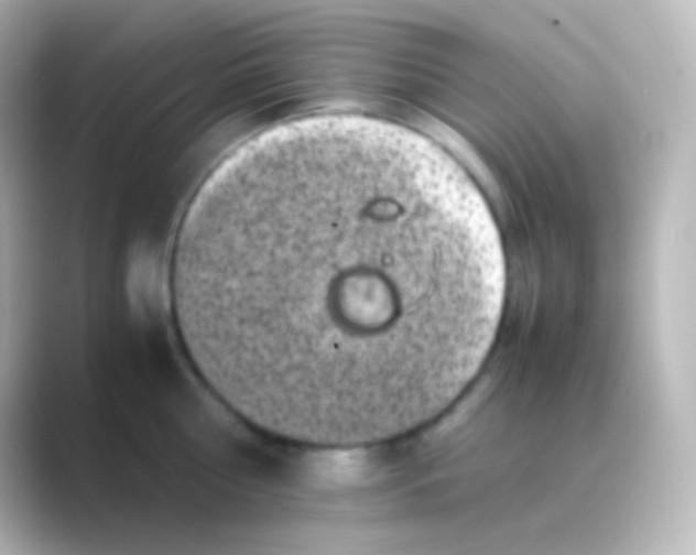 X0000088700810200706211943