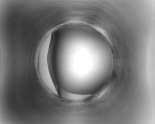 X0000088700815200706211943