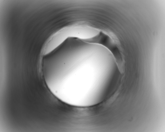 X0000088700816200706211943