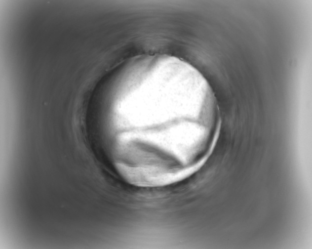 X0000088700817200706211943