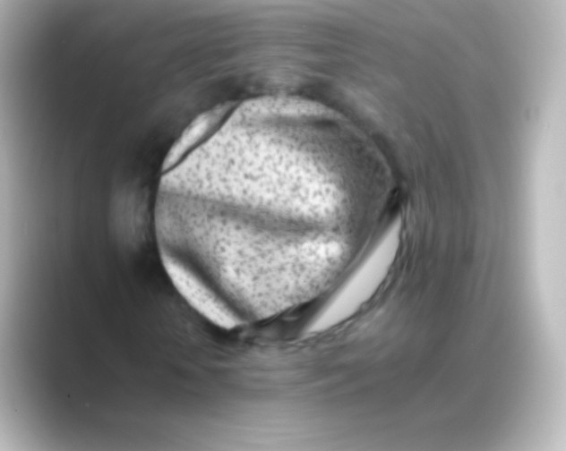X0000088700818200706211943
