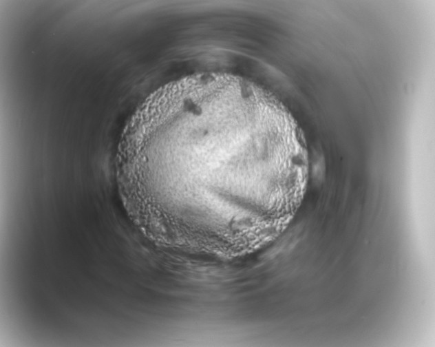 X0000088700819200706211943