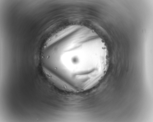 X0000088700821200706211943